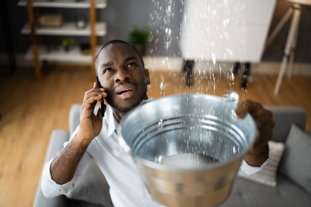 Best Flood damage cleanup  in Elmendorf, TX