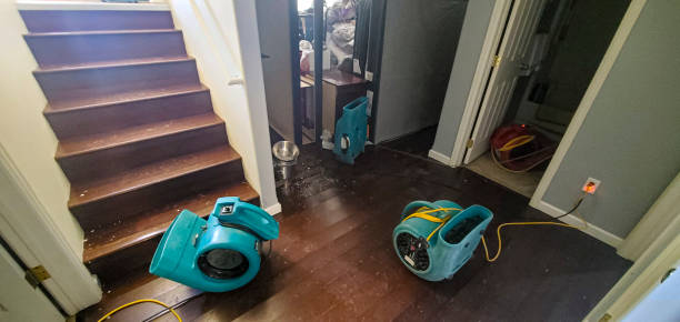 Best Water damage restoration near me  in Elmendorf, TX
