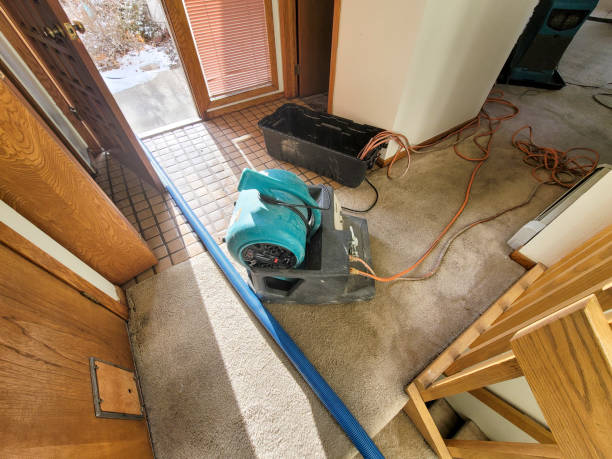 Best Commercial water damage restoration  in Elmendorf, TX