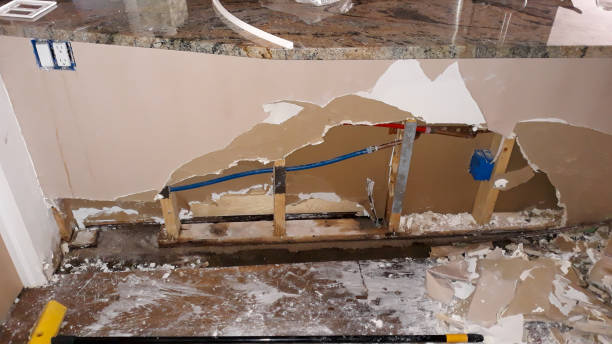 Carpet water damage restoration in Elmendorf, TX