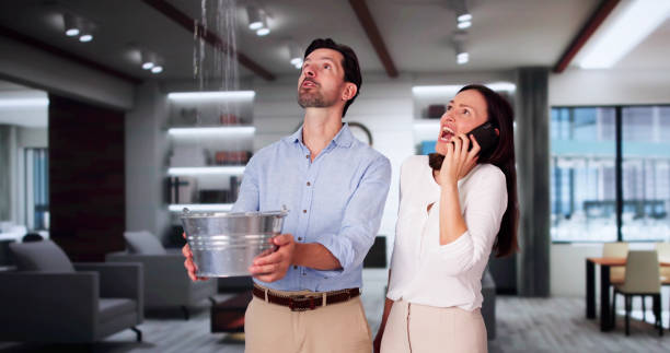 Trusted Elmendorf, TX Water damage restoration Experts