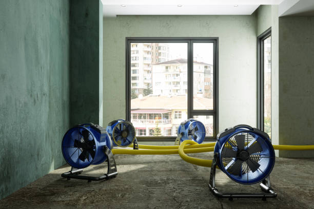 Sewage cleanup and water damage restoration in Elmendorf, TX