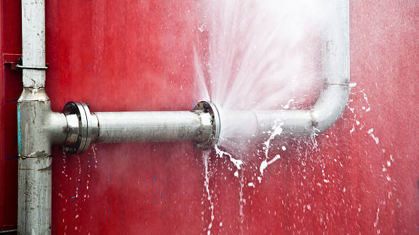 Best Water damage restoration insurance claims  in Elmendorf, TX